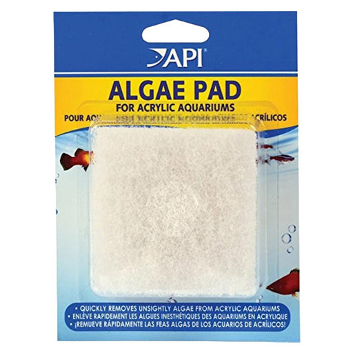 API Algae Scraper for Acrylic Aquariums Replacement Pad - Buy Online - Jungle Aquatics