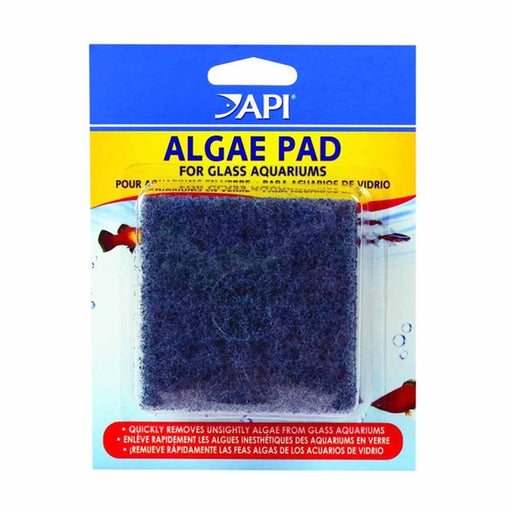 API Algae Scraper for Glass Aquariums Replacement Pad - Buy Online - Jungle Aquatics