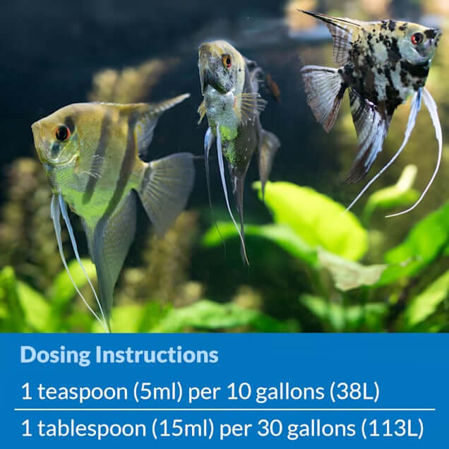 Three fish swimming in an aquarium with dosing instructions for API Stress Zyme Plus on a blue background.