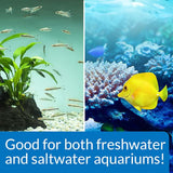 Freshwater and saltwater aquariums featuring vibrant fish and plants, promoting healthy aquatic environments.