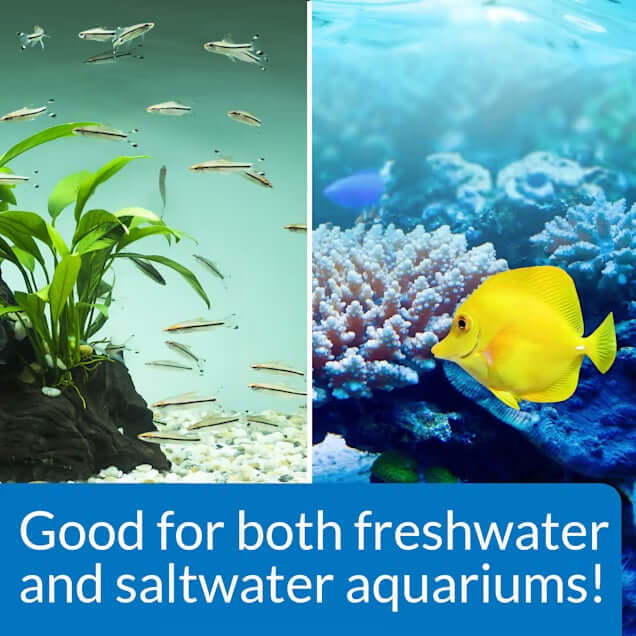 Freshwater and saltwater aquariums featuring vibrant fish and plants, promoting healthy aquatic environments.