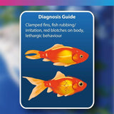 Diagnosis guide highlighting symptoms in goldfish: clamped fins, irritation, red blotches, and lethargy.
