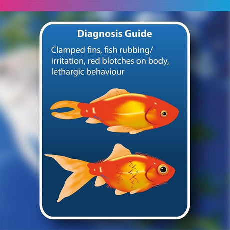 Diagnosis guide highlighting symptoms in goldfish: clamped fins, irritation, red blotches, and lethargy.