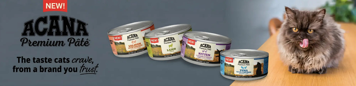 ACANA Premium Pâté cat food cans displayed with a fluffy cat enjoying the tasty meal.