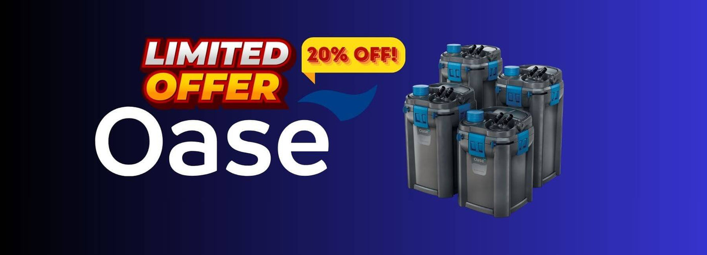 Oase limited offer banner featuring filters with 20% discount on a colorful background.