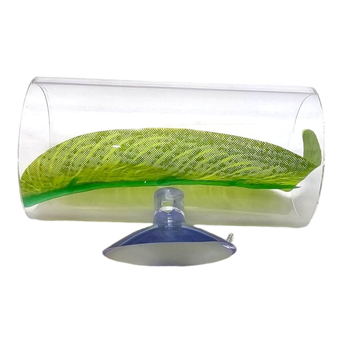 Betta Leaf Bed