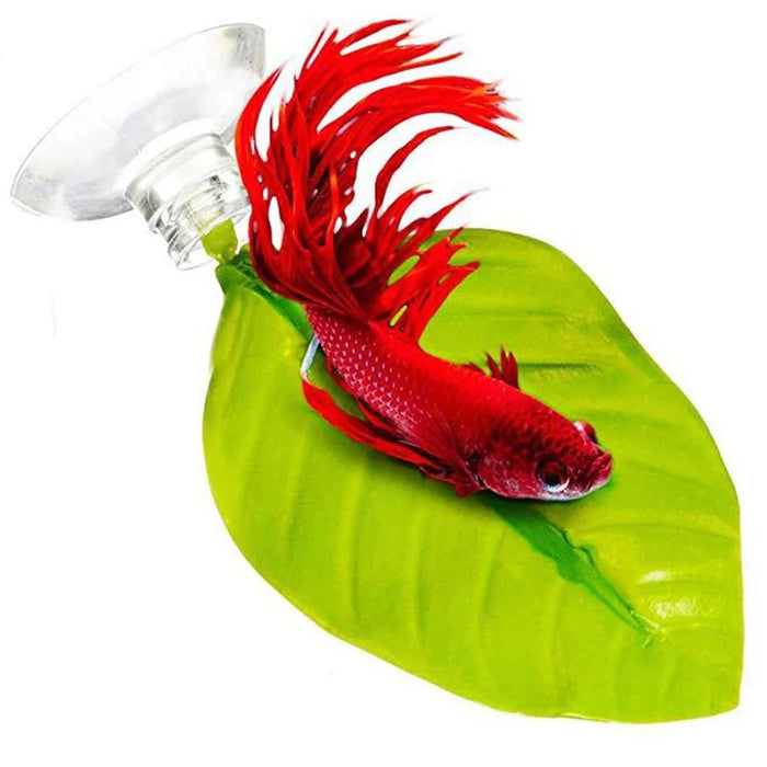 Betta Leaf Bed with suction cup and artificial leaf, providing a cozy resting spot for betta fish. Size: 6-9cm x 5cm.