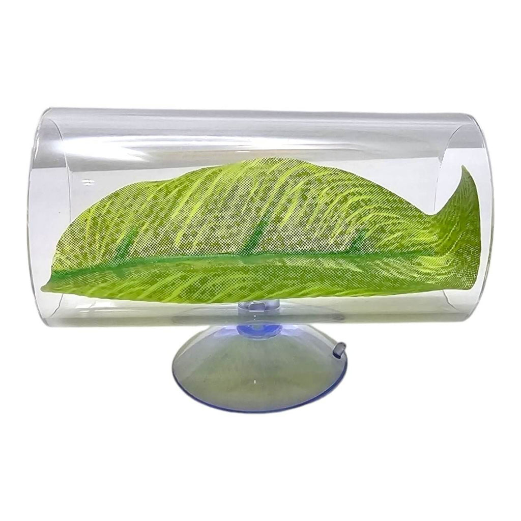 New — Jungle Aquatics Pet Superstore