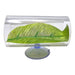 Betta Leaf Bed