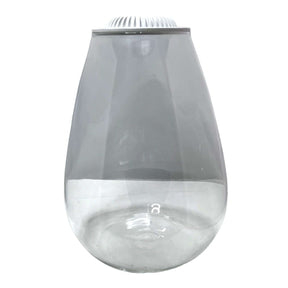 Clear teardrop-shaped Bio Bowl terrarium for indoor plants with LED light and heat dissipation fan.