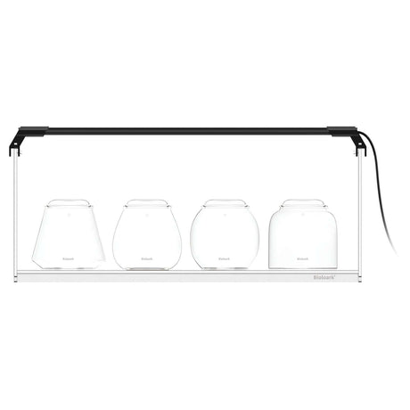 Bioloark Bubble Cup Set with Lighting and Stand LH-02 showcasing four unique cups in a modern display system.