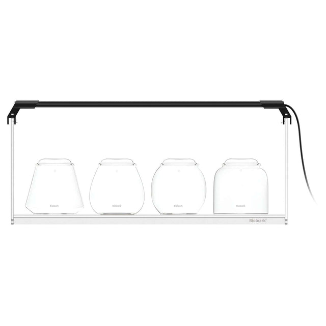 Bioloark Bubble Cup Set with Lighting and Stand LH-02 showcasing four unique cups in a modern display system.