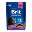 Brit Premium Cat Pouch with Chicken and Turkey 100g, featuring tender meat in gravy for cats.