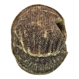 Cozy brown knit-style beanie for aquarium skull ornament, featuring textured design and warm, earthy colors.