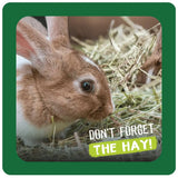 Rabbit enjoying fresh hay with the text "Don't Forget The Hay!" in vibrant green.