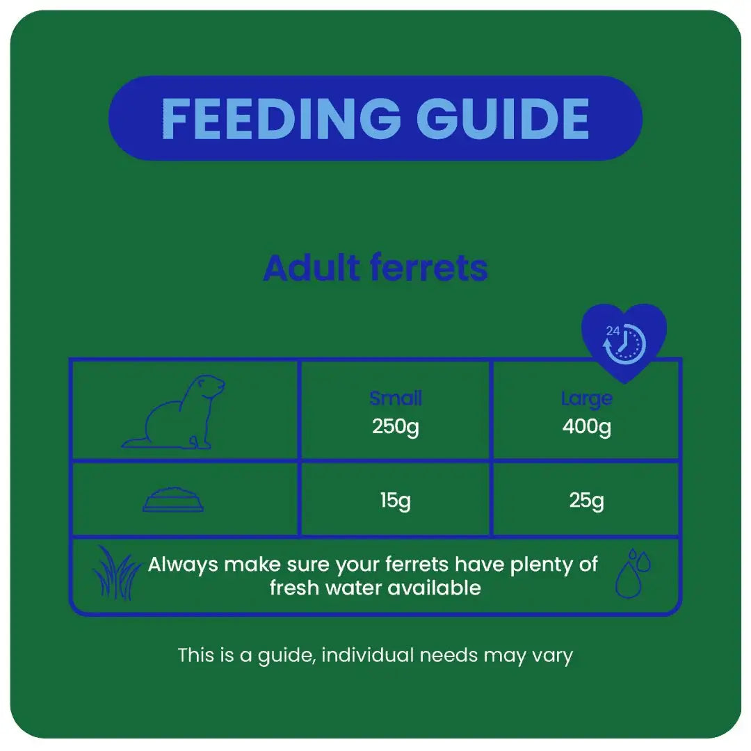 Feeding guide for adult ferrets, outlining portion sizes and water needs for small and large ferrets.