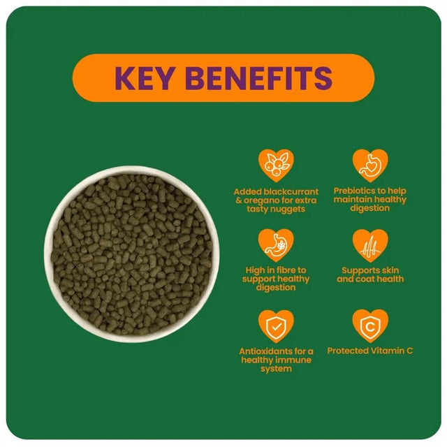 Key benefits of Burgess Excel Guinea Pig Nuggets with blackcurrant, highlighting health and nutrition for guinea pigs.