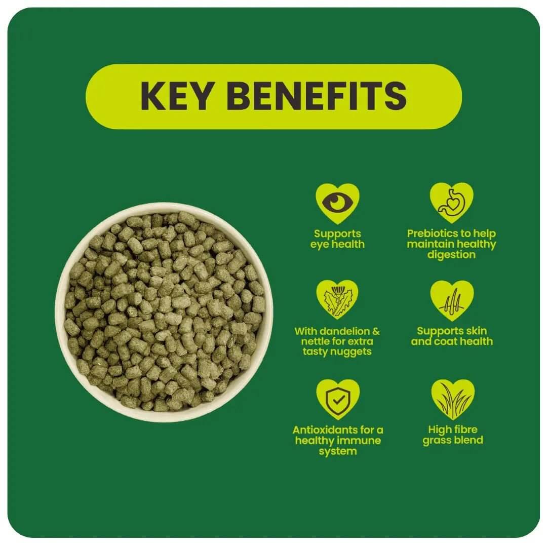 Key benefits of Burgess Excel Adult Rabbit Nuggets highlighting eye health, digestion, skin care, and nutritious ingredients.