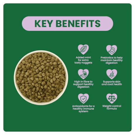 Burgess Excel Rabbit Light nuggets highlighting key benefits like weight control, digestion support, and added mint for flavor.