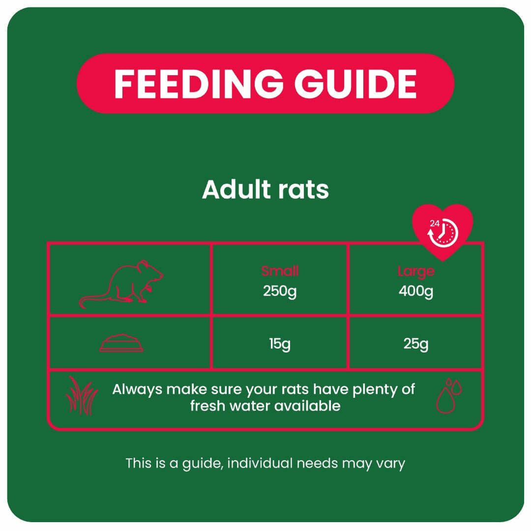 Feeding guide for adult rats, detailing portion sizes and water needs based on weight.