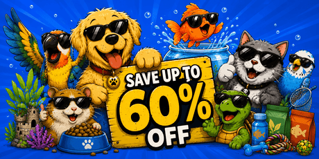 Colorful cartoon pets wearing sunglasses promoting a sale with the text 'Save Up to 60% Off' on a blue background.
