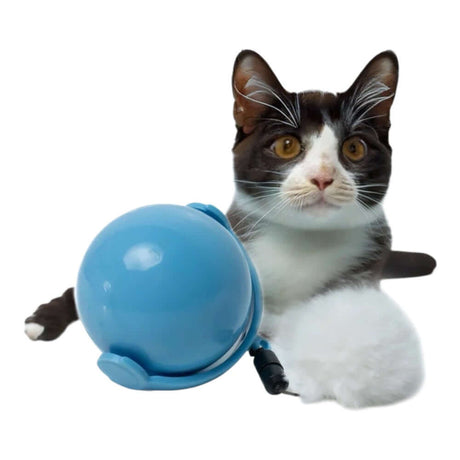 Cat Rolling Ball Toy with a playful cat, promoting exercise and mental stimulation for indoor feline fun.
