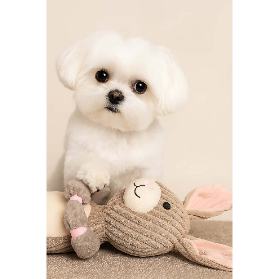 Charming Pet Thunder Tuggerz Bunny toy with a cute white dog playfully tugging at it.