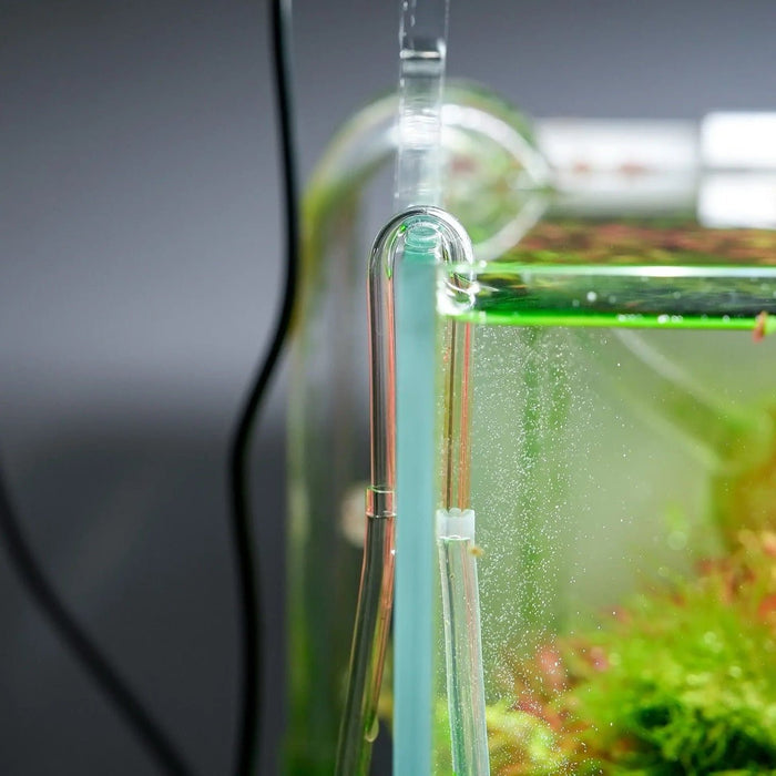 Chihiros U Clip 4pcs installed in a fish tank, showcasing a sleek U-shaped acrylic tube for CO2 diffusion.