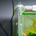 Chihiros U Clip 4pcs installed in a fish tank, showcasing a sleek U-shaped acrylic tube for CO2 diffusion.