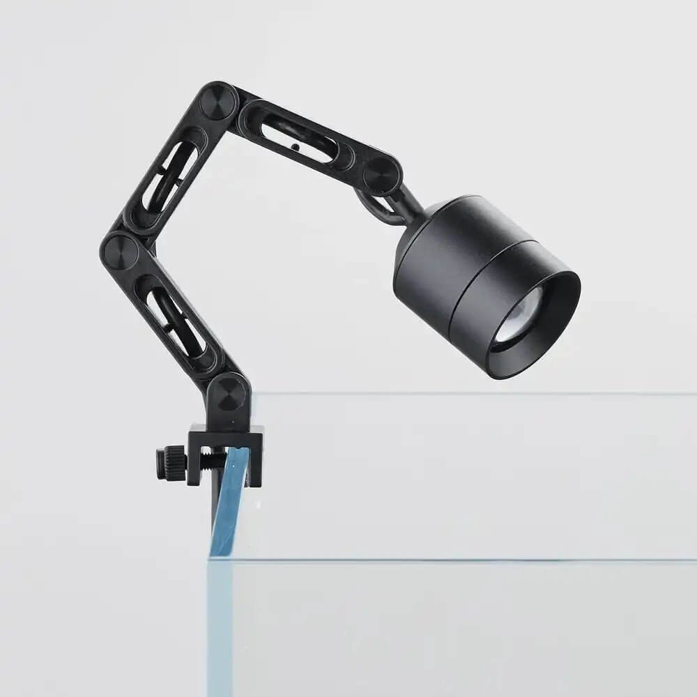 Chihiro Chihiro & Friends Spirited Away Studio Ghibli Hoodie