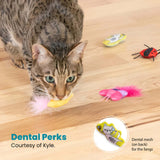 Cute As A Bug Plush Cat Toys 6pk featured with a cat enjoying the colorful, bug-themed plush toys.