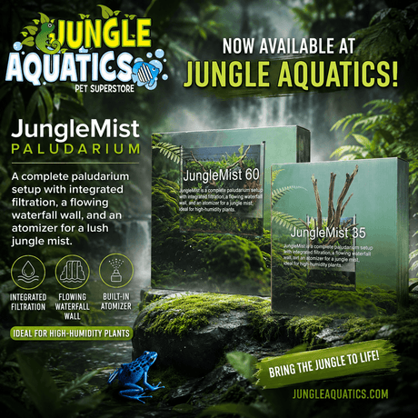 Jungle Mist Paludarium display with integrated filtration, waterfall wall, and atomizer for lush jungle mist.