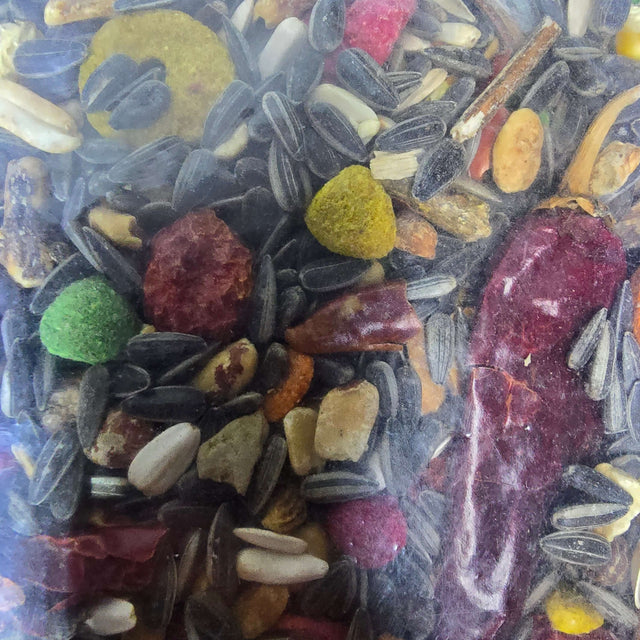 Colorful blend of seeds, nuts, and fruit in Daro Parrot Tropical Gourmet Mix for healthy tropical birds.