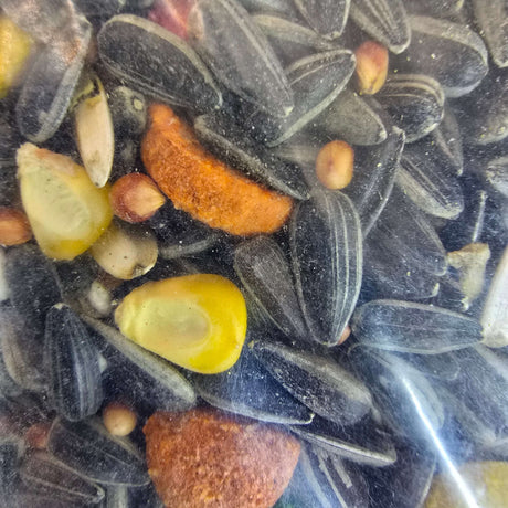 Daro Parrot Tropical Gourmet Mix featuring a vibrant blend of seeds and nuts for tropical birds' nutrition.