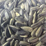 Close-up of Daro striped sunflower seeds, rich in oil and nutrients, ideal bird food for Lovebirds and Parrots.