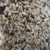 Close-up of Daro White Sunflower Seeds, premium bird feed for Lovebirds and Parrots.