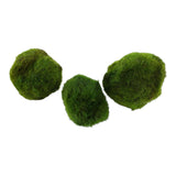 Dennerle Aegagropila Linnaei Superballs, green algae balls for aquariums, stylish aquatic decor.