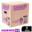 Designer Water Alkaline Ionized Water Still 5 litre box showcasing pH 10 hydration benefits.
