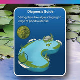 Diagnosis guide illustrating stringy hair-like algae on the edge of a pond or waterfall.