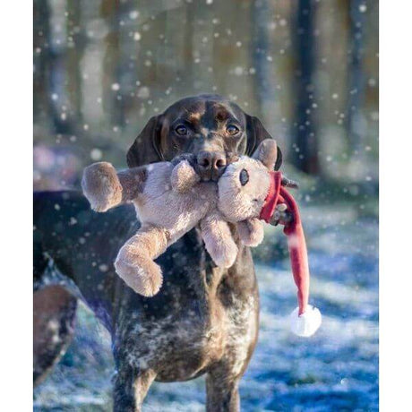 Dog holding a soft teddy bear with an elf hat in a snowy outdoor setting.