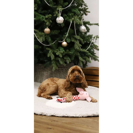 Dog playing with Pig in Blanket toy near a decorated Christmas tree, showcasing festive holiday spirit.