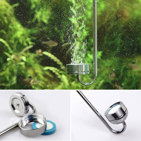Dymax Co2 Stainless Steel Diffuser in aquarium, showcasing fine bubble diffusion and easy installation features.