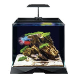 Dymax GS3 Cubey Aquarium Freshwater with vibrant betta fish and aquascaped rock features.