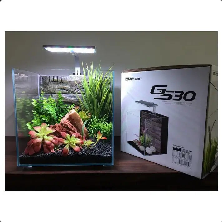 Dymax GS30 Aquarium showcasing its rimless design, built-in filtration, and lush aquatic plants.