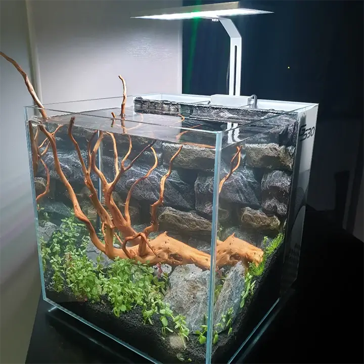 Dymax GS30 Aquarium showcasing an ultra clear cube tank with built-in filtration and natural aquascaping elements.