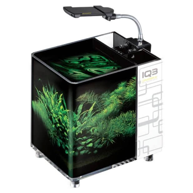 Dymax IQ3 Mini Acrylic Aquarium showcasing dimmable LED light and lush aquatic plants.