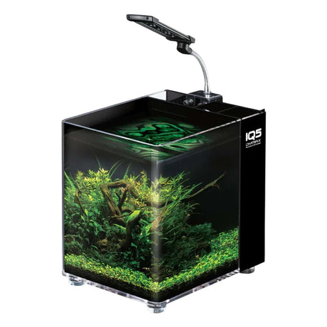 Dymax IQ5 Acrylic Aquarium