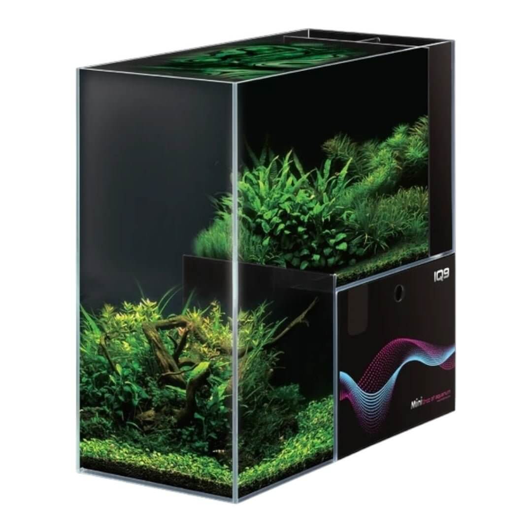 Dymax IQ9 Drop Off dual aquarium showcasing vibrant greenery in a stylish rimless design, perfect for marine and freshwater use.