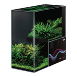 Dymax IQ9 Drop Off dual aquarium showcasing vibrant greenery in a stylish rimless design, perfect for marine and freshwater use.
