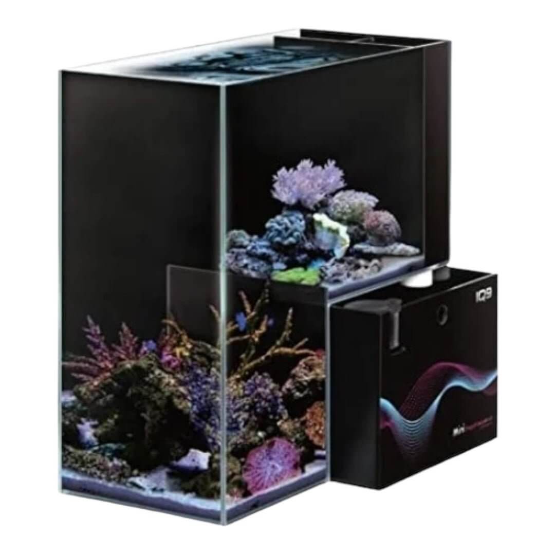 Dymax IQ9 Drop Off Dual Marine and Freshwater Aquarium with vivid corals and modern design, perfect for mini aquatic setups.